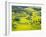 Yellow Rape Flowers Cover Qianqiou Terraces, China-Charles Crust-Framed Premium Photographic Print