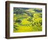 Yellow Rape Flowers Cover Qianqiou Terraces, China-Charles Crust-Framed Photographic Print