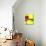 Yellow Rectangles-Diana Ong-Mounted Giclee Print displayed on a wall