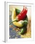 Yellow, Red and Green Chili Peppers-Joerg Lehmann-Framed Photographic Print