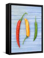 Yellow Red and Green Chilli Peppers Chillies Freshly Harvested on Pale Blue Background-Gary Smith-Framed Stretched Canvas