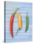 Yellow Red and Green Chilli Peppers Chillies Freshly Harvested on Pale Blue Background-Gary Smith-Stretched Canvas