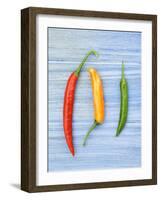 Yellow Red and Green Chilli Peppers Chillies Freshly Harvested on Pale Blue Background-Gary Smith-Framed Photographic Print