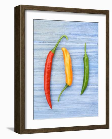 Yellow Red and Green Chilli Peppers Chillies Freshly Harvested on Pale Blue Background-Gary Smith-Framed Photographic Print