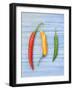 Yellow Red and Green Chilli Peppers Chillies Freshly Harvested on Pale Blue Background-Gary Smith-Framed Photographic Print