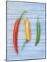 Yellow Red and Green Chilli Peppers Chillies Freshly Harvested on Pale Blue Background-Gary Smith-Mounted Photographic Print