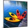 Yellow & Red Kayak On The Lake-null-Mounted Art Print