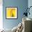 Yellow Red Rose Abstract No 186-Shams Rasheed-Framed Giclee Print displayed on a wall