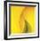 Yellow Red Rose Abstract No 186-Shams Rasheed-Framed Giclee Print