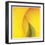 Yellow Red Rose Abstract No 186-Shams Rasheed-Framed Giclee Print