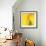 Yellow Red Rose Abstract No 186-Shams Rasheed-Framed Giclee Print displayed on a wall