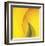 Yellow Red Rose Abstract No 186-Shams Rasheed-Framed Giclee Print