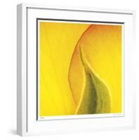 Yellow Red Rose Abstract No 186-Shams Rasheed-Framed Giclee Print