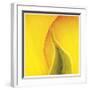 Yellow Red Rose Abstract No 186-Shams Rasheed-Framed Giclee Print