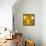 Yellow Reflection on an Autumn Morning-Philippe Sainte-Laudy-Framed Stretched Canvas displayed on a wall