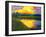 Yellow Reflections on Voorhis Pond-Patty Baker-Framed Art Print