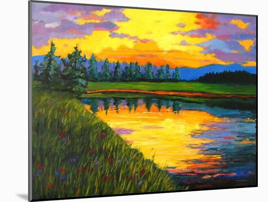 Yellow Reflections on Voorhis Pond-Patty Baker-Mounted Art Print