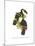 Yellow Ridged Toucan-John Gould-Mounted Art Print