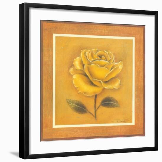 Yellow Roman Rose-Lewman Zaid-Framed Art Print