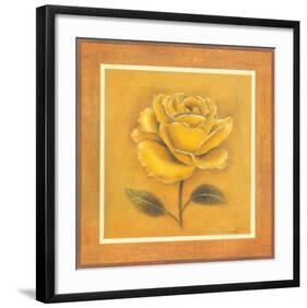 Yellow Roman Rose-Lewman Zaid-Framed Art Print