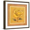 Yellow Roman Rose-Lewman Zaid-Framed Art Print