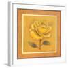 Yellow Roman Rose-Lewman Zaid-Framed Art Print