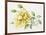 Yellow Rose 10-Janneke Brinkman-Salentijn-Framed Giclee Print