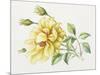 Yellow Rose 10-Janneke Brinkman-Salentijn-Mounted Giclee Print