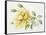 Yellow Rose 10-Janneke Brinkman-Salentijn-Framed Stretched Canvas