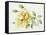 Yellow Rose 10-Janneke Brinkman-Salentijn-Framed Stretched Canvas