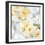 Yellow Rose Garden I-Joanna Lane-Framed Art Print