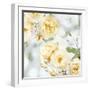 Yellow Rose Garden I-Joanna Lane-Framed Art Print