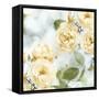 Yellow Rose Garden II-Joanna Lane-Framed Stretched Canvas