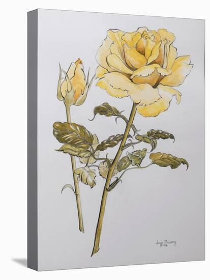 Yellow Rose with Leaves with Bud, 2012-Joan Thewsey-Stretched Canvas