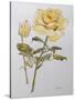 Yellow Rose with Leaves with Bud, 2012-Joan Thewsey-Stretched Canvas