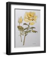 Yellow Rose with Leaves with Bud, 2012-Joan Thewsey-Framed Premium Giclee Print