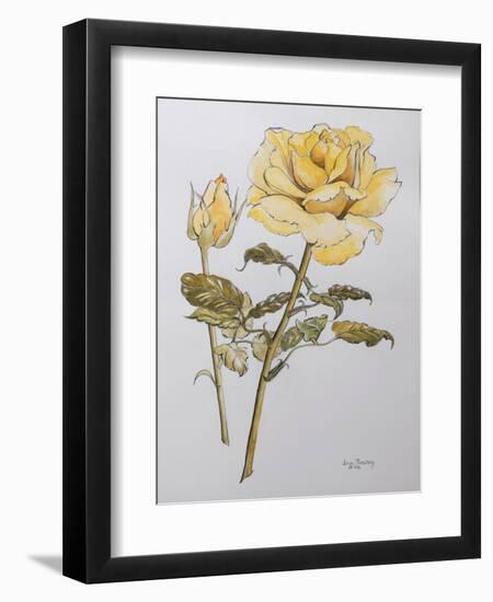 Yellow Rose with Leaves with Bud, 2012-Joan Thewsey-Framed Premium Giclee Print