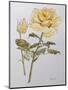 Yellow Rose with Leaves with Bud, 2012-Joan Thewsey-Mounted Premium Giclee Print