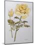 Yellow Rose with Leaves with Bud, 2012-Joan Thewsey-Mounted Giclee Print