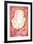 Yellow Rose-Hank Laventhol-Framed Collectable Print