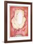 Yellow Rose-Hank Laventhol-Framed Collectable Print