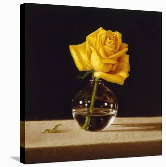 Yellow Rose-Patrick Farrell-Stretched Canvas