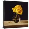 Yellow Rose-Patrick Farrell-Stretched Canvas