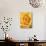 Yellow Rose-null-Stretched Canvas displayed on a wall