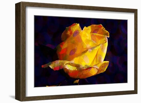 Yellow Rose-Scott J. Davis-Framed Giclee Print