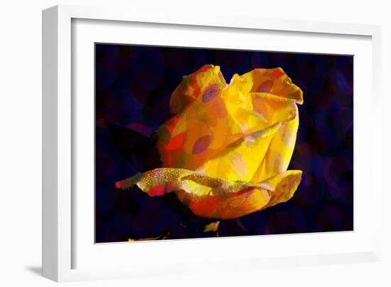 Yellow Rose-Scott J. Davis-Framed Giclee Print