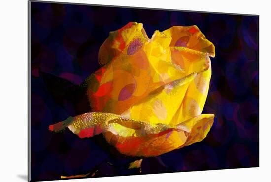 Yellow Rose-Scott J. Davis-Mounted Giclee Print