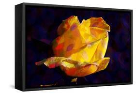 Yellow Rose-Scott J. Davis-Framed Stretched Canvas