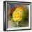 Yellow Rose-Skarlett-Framed Giclee Print