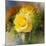 Yellow Rose-Skarlett-Mounted Giclee Print